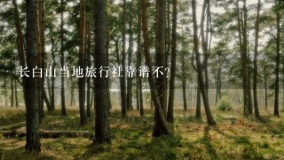 长白山当地旅行社靠谱不?