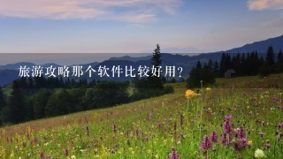 旅游攻略那个软件比较好用？