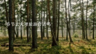 春节去大理旅游合适吗