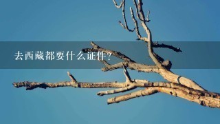 去西藏都要什么证件？