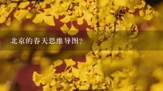 北京的春天思维导图？