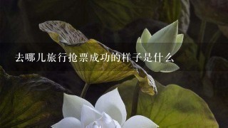 去哪儿旅行抢票成功的样子是什么