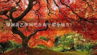 绿澜游艺休闲吧在南宁那个地方？