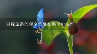 同程旅游的现金贷要在哪里申请？