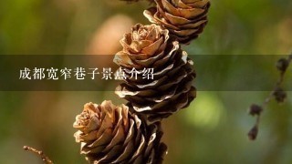 成都宽窄巷子景点介绍