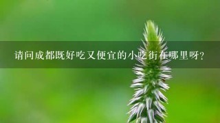 请问成都既好吃又便宜的小吃街在哪里呀？