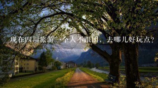 现在4川旅游1个人不跟团，去哪儿好玩点？