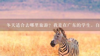 冬天适合去哪里旅游？我是在广东的学生，自助游。大家给推荐个适合冬天去的地方吧？