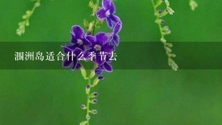 涠洲岛适合什么季节去