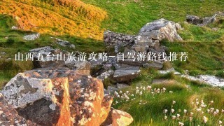 山西5台山旅游攻略-自驾游路线推荐