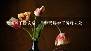 无锡亲子游攻略3日游无锡亲子游好去处