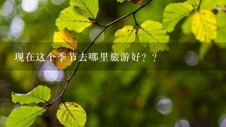 现在这个季节去哪里旅游好？？