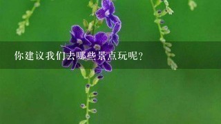 你建议我们去哪些景点玩呢？