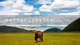 你需要准备什么去张家界的旅行？