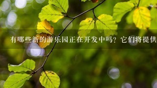 有哪些新的游乐园正在开发中吗？它们将提供什么新体验？