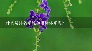 什么是排名系统和指标体系呢？