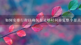 如何安排行程以确保有足够时间游览整个景点？