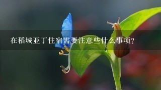 在稻城亚丁住宿需要注意些什么事项？