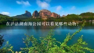 在泸沽湖南海公园可以看见哪些动物