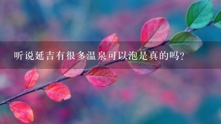 听说延吉有很多温泉可以泡是真的吗