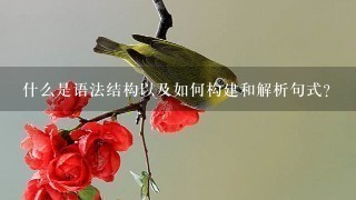 什么是语法结构以及如何构建和解析句式