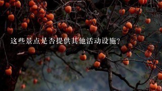 这些景点是否提供其他活动设施?