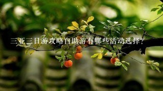 三亚三日游攻略自助游有哪些活动选择?