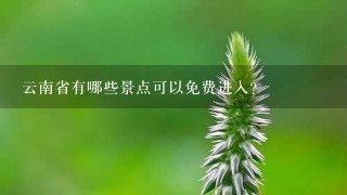 云南省有哪些景点可以免费进入?