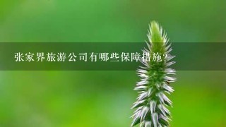 张家界旅游公司有哪些保障措施?