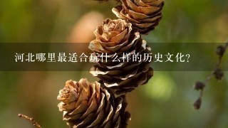 河北哪里最适合玩什么样的历史文化?