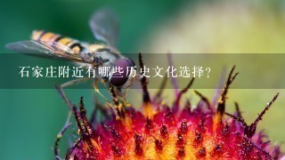 石家庄附近有哪些历史文化选择?