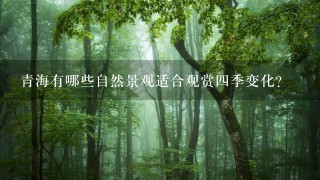 青海有哪些自然景观适合观赏四季变化?