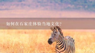 如何在石家庄体验当地文化?