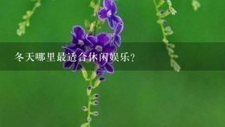 冬天哪里最适合休闲娱乐?