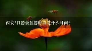 西安3日游最佳游时段是什么时间?