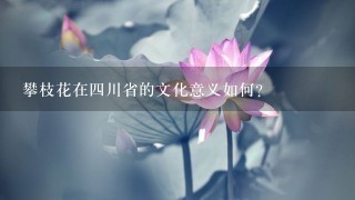 攀枝花在四川省的文化意义如何?