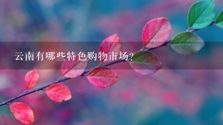 云南有哪些特色购物市场?