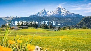 攀枝花旅游景点如何获取信息?