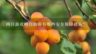 两日游攻略自助游有哪些安全保障措施?