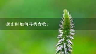 爬山时如何寻找食物?