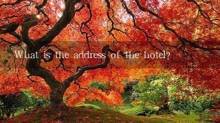 What is the address of the hotel?