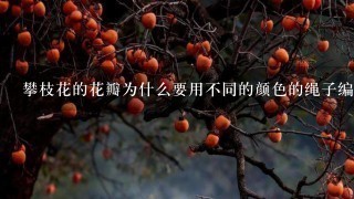 攀枝花的花瓣为什么要用不同的颜色的绳子编织?