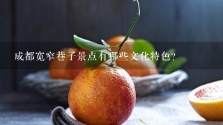 成都宽窄巷子景点有哪些文化特色?