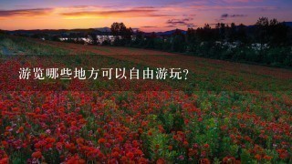 游览哪些地方可以自由游玩?