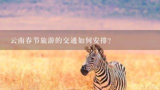 云南春节旅游的交通如何安排?