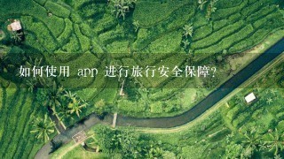 如何使用 app 进行旅行安全保障?