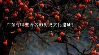 广东有哪些著名的历史文化遗址?